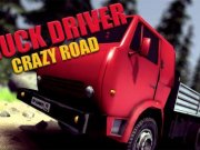 Truck Driver Crazy Road