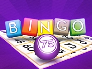 Bingo 75 numere