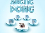 Arctic Ping Pong